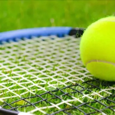 Western L'oree Paris Sud ホテル ソ・レ・シャルトルー